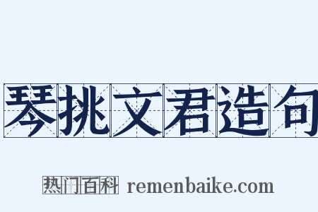 琴挑文君造句是什么意思的图片